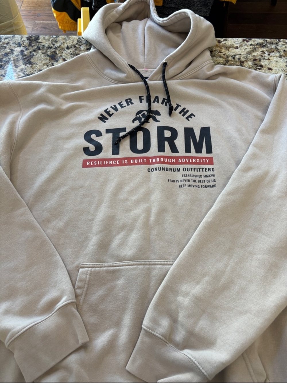 Never Fear The Storm Graphic Hoodie - Beige